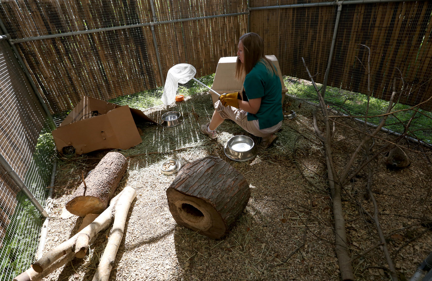 WILDLIFE CENTER